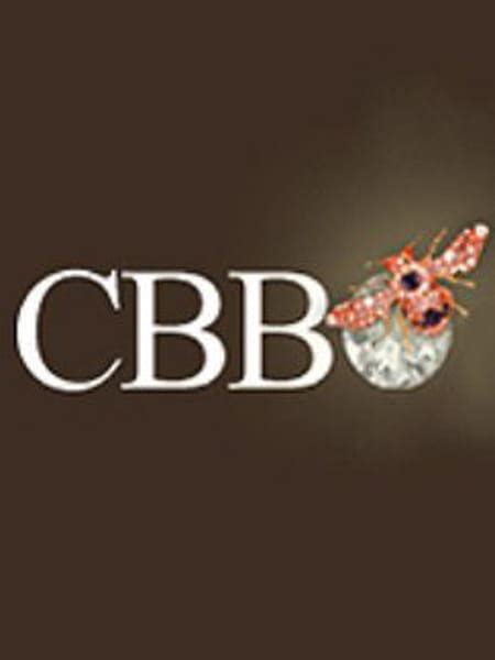 CBBO Comptoir Bordelais du bijou d'Occasion .